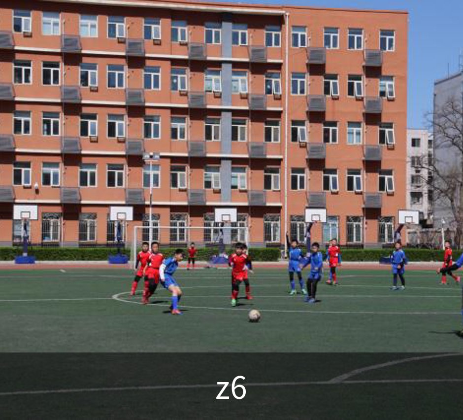 关于z6